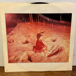 Blue Oyster Cult Cultosaurus Erectus Vinilo Lp Exc 1980 Usa