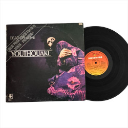Dead Or Alive - Youthquake - Nm- Vinilo Synth-pop Promo