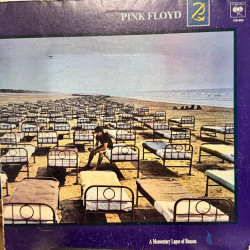 Pink Floyd A Momentary Lapse Of Reason -arg -1987