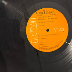 Crucis Los Delirios Del Mariscal Vinilo Exc