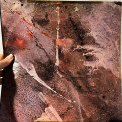 Blondie - Autoamerican (1980) Usa