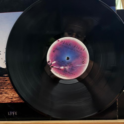 Pink Floyd Delicate Sound Of Thunder 1988 Usa