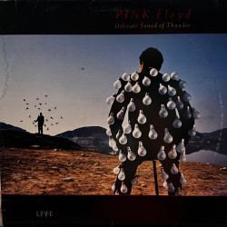 Pink Floyd Delicate Sound Of Thunder 1988 Usa
