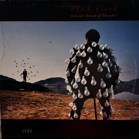 Pink Floyd Delicate Sound Of Thunder 1988 Usa